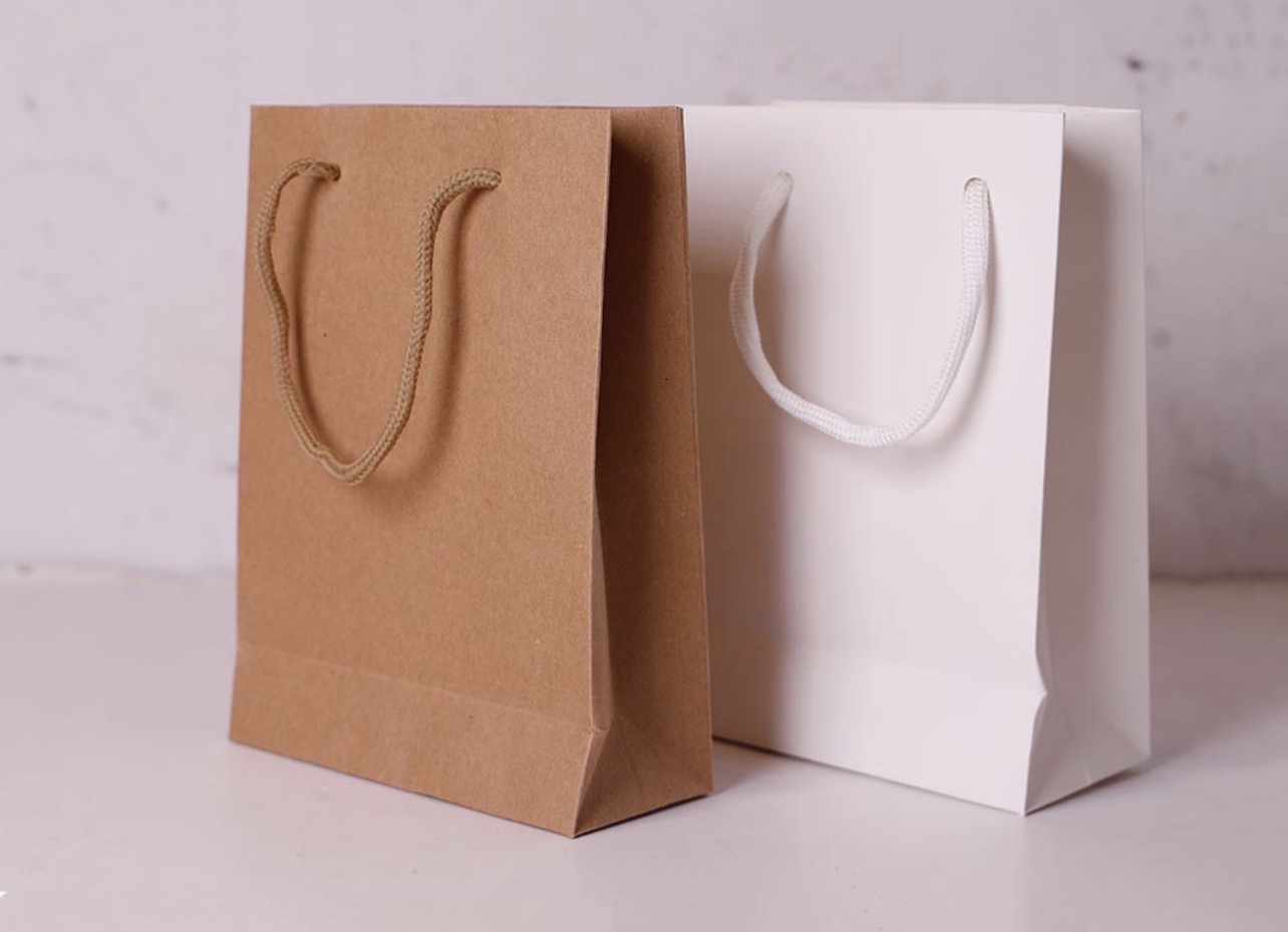 Small Carton bag (12pcs)