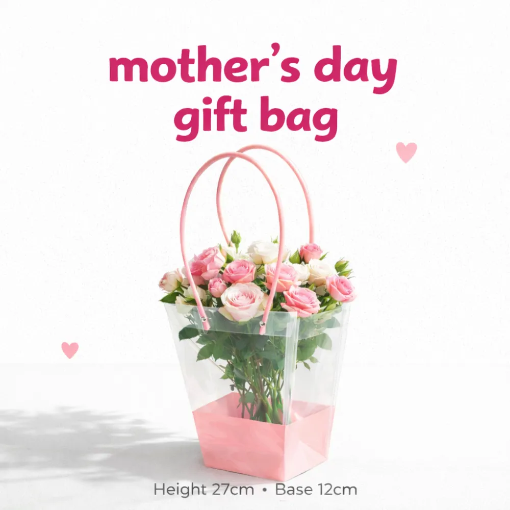 Blush pink gift bag (1pc)
